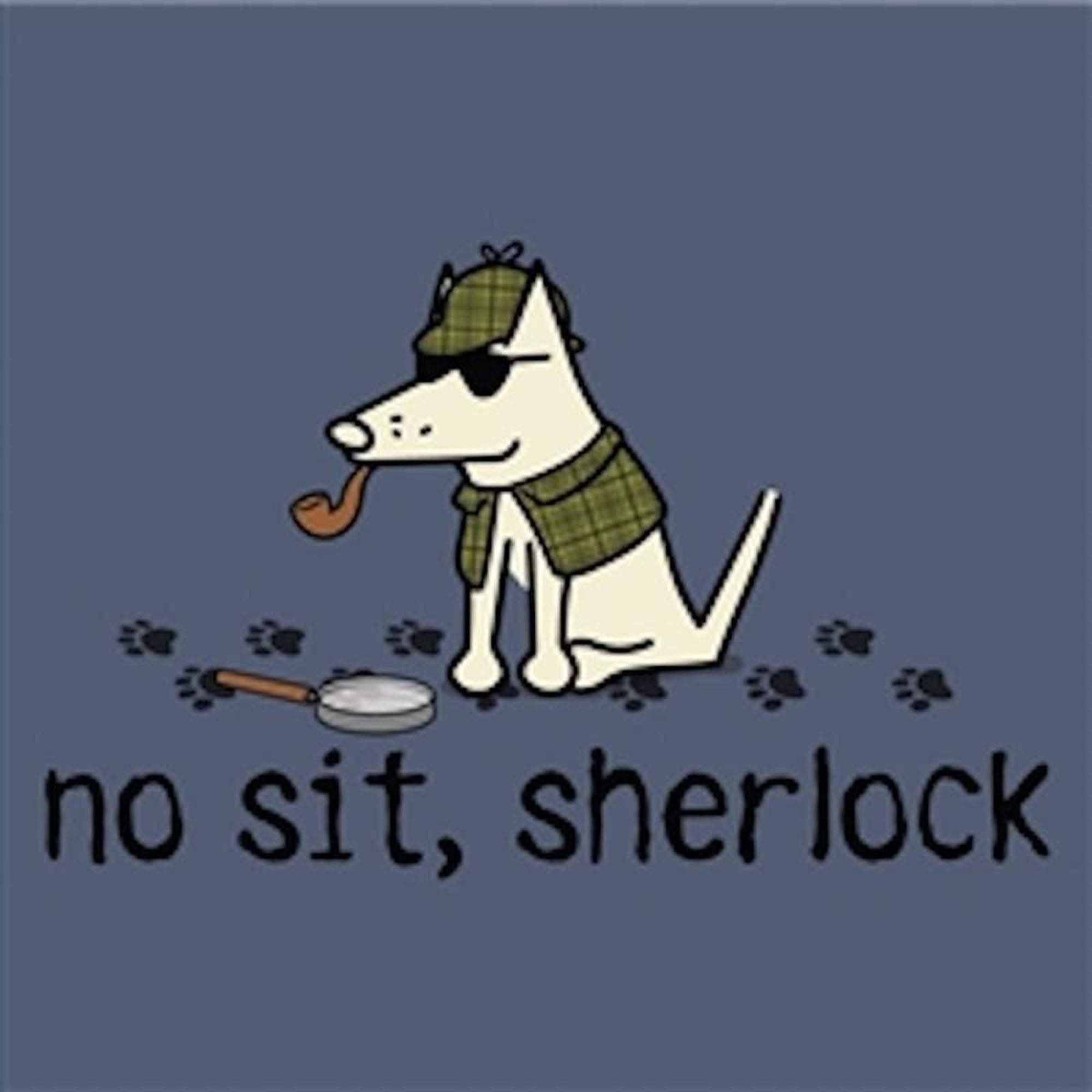 Teddy the Dog No Sit Sherlock T-Shirt