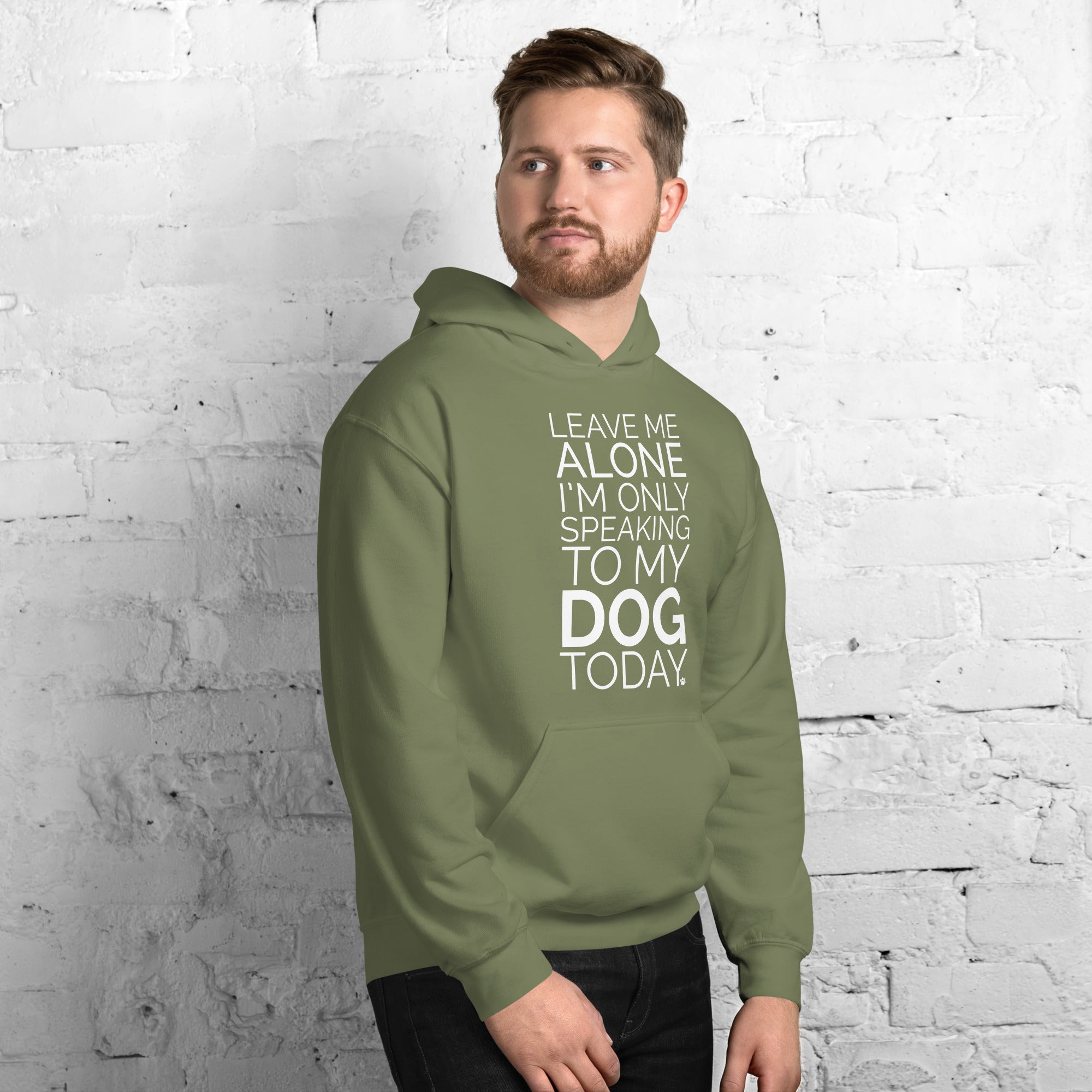 Leave Me Alone Dog Hoodie