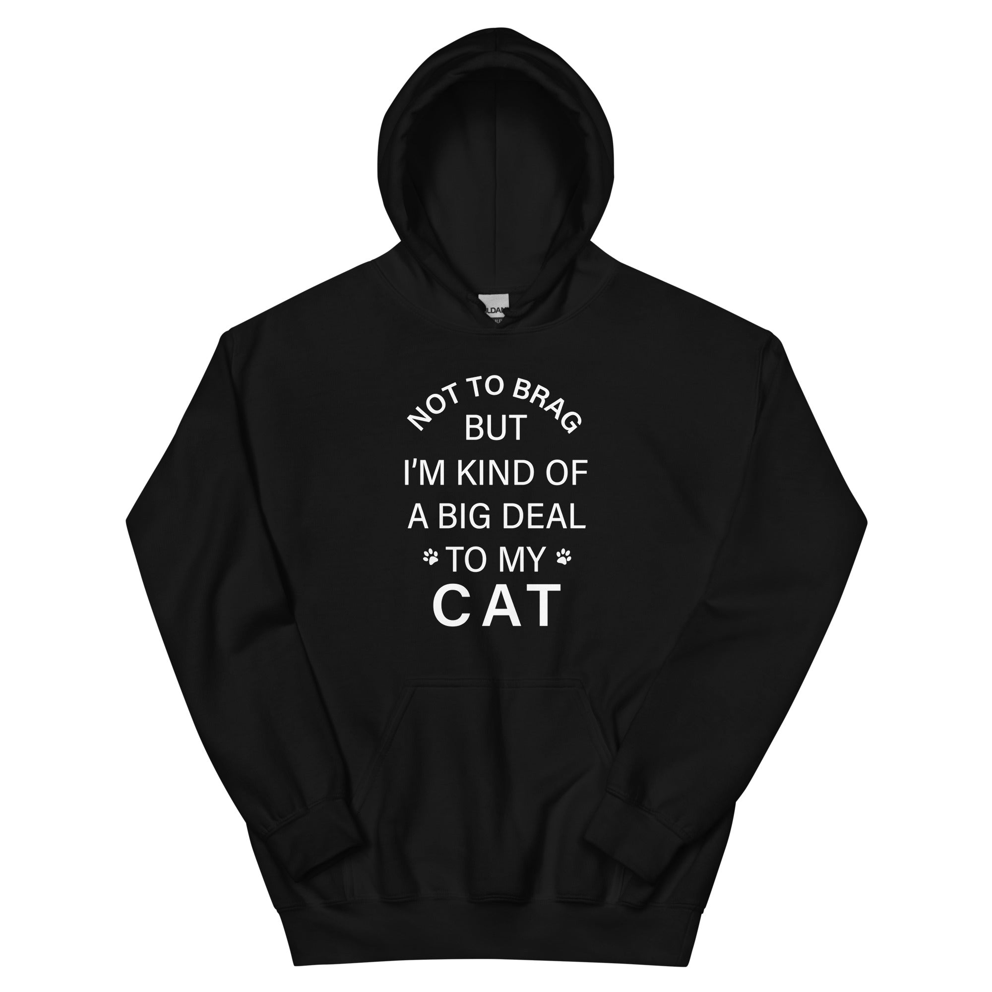 Not To Brag Cat Hoodie