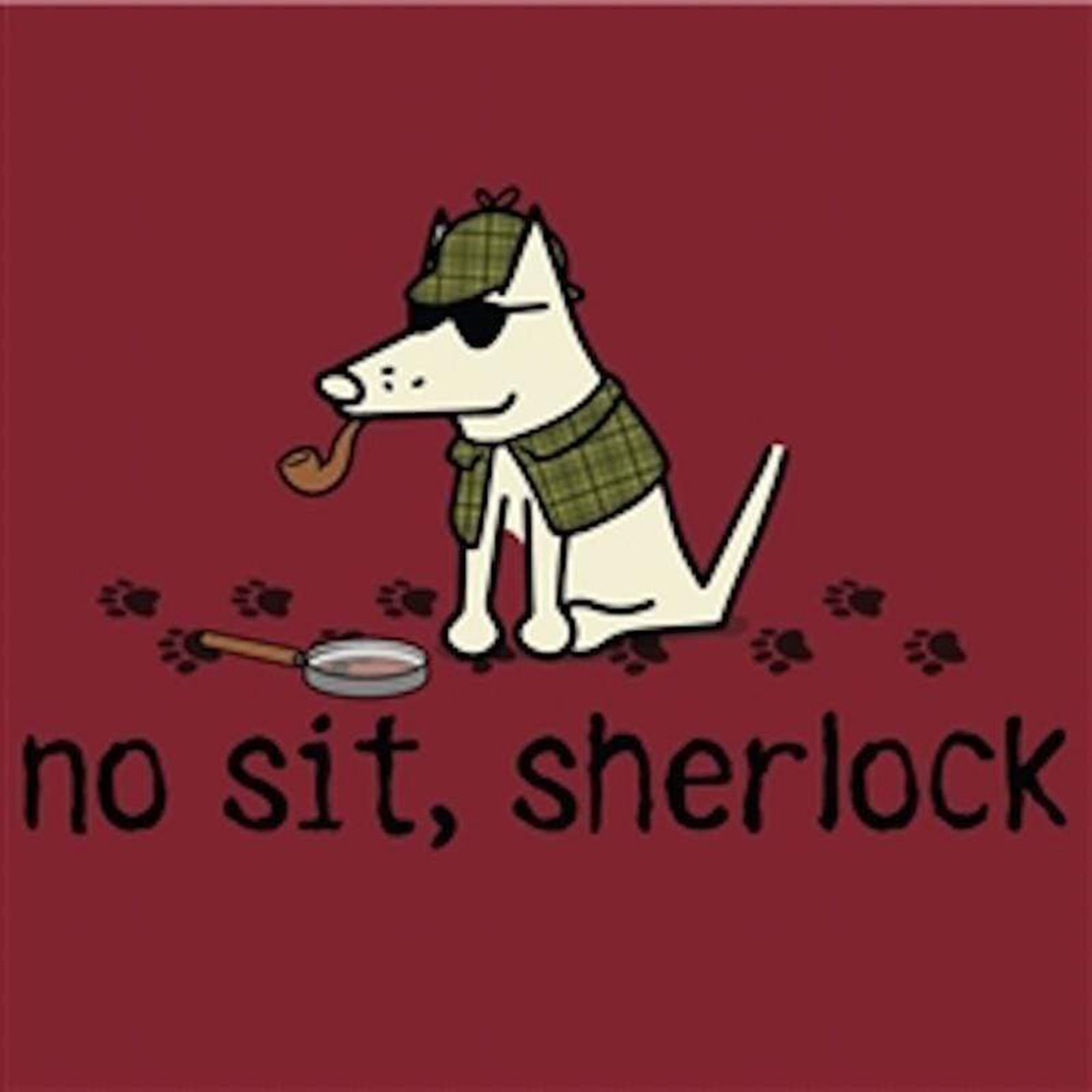 Teddy the Dog No Sit Sherlock V-Neck